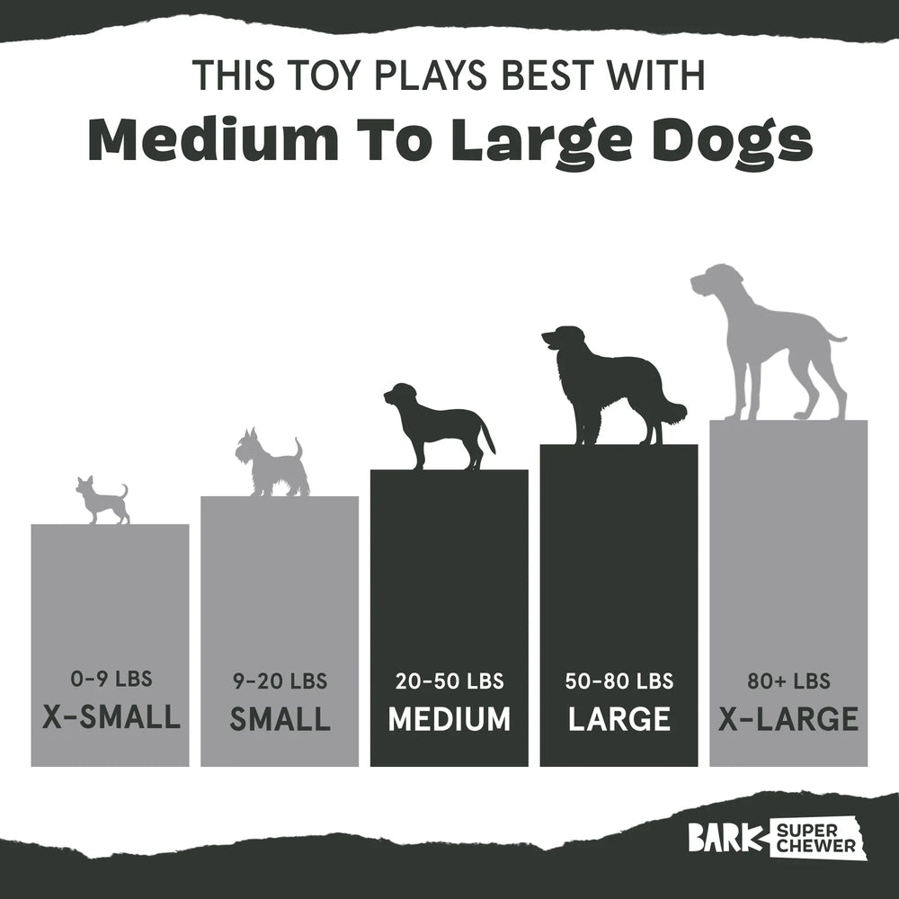 BARK Hare Raiser Super Chewer Dog Toy