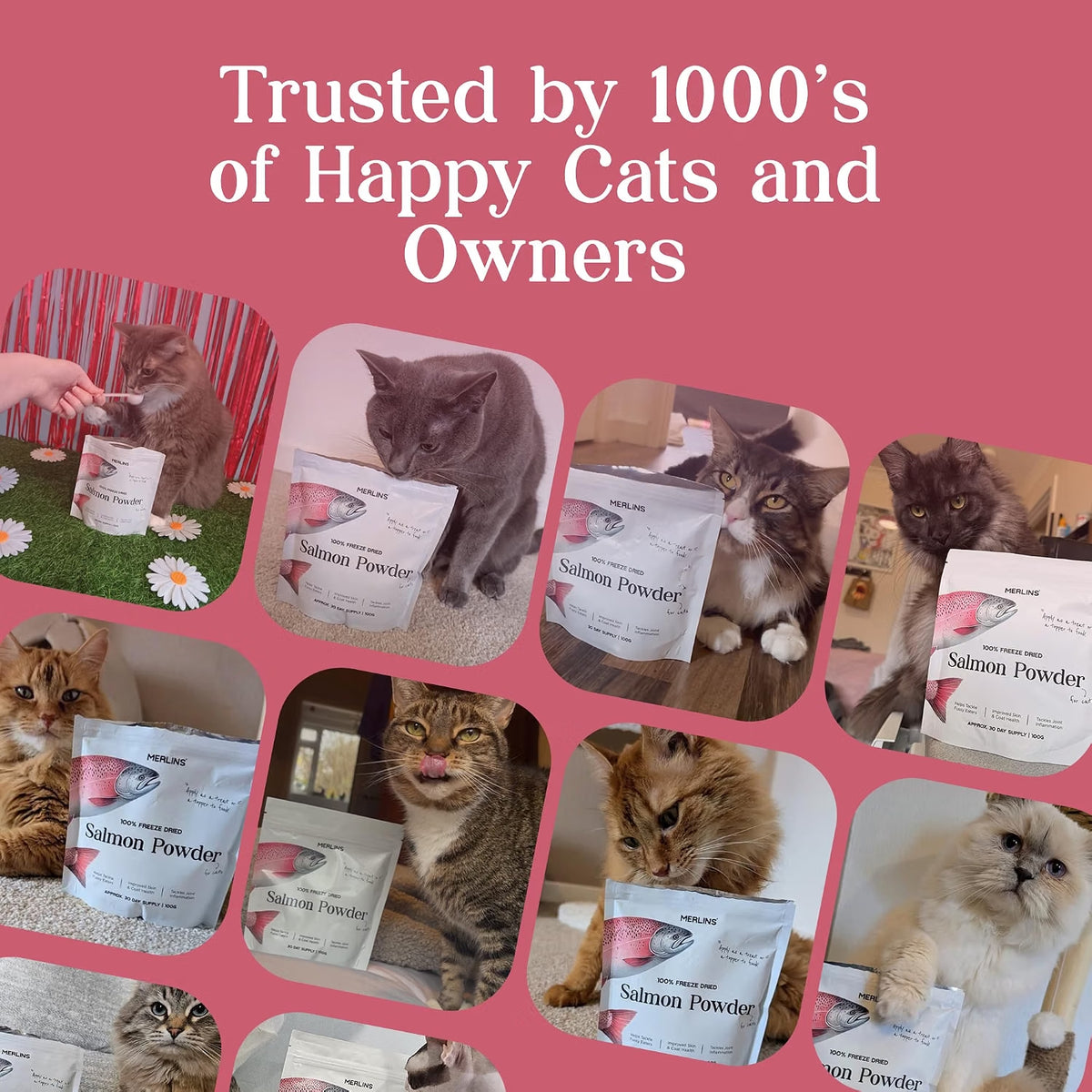 Merlins 100% Freeze Dried Salmon Powder for Cats & Dogs – 100g
