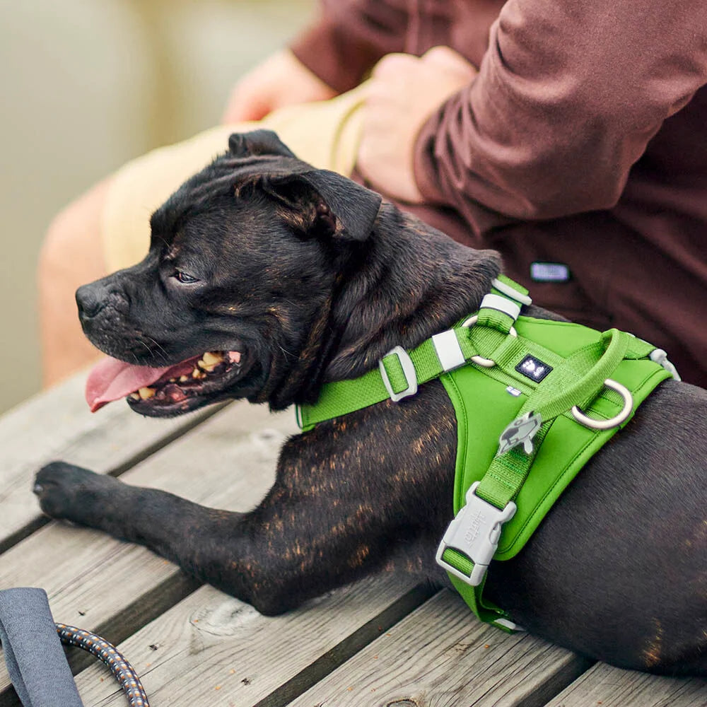 Hurtta Weekend Warrior II ECO Dog Harness Raven 5 Sizes
