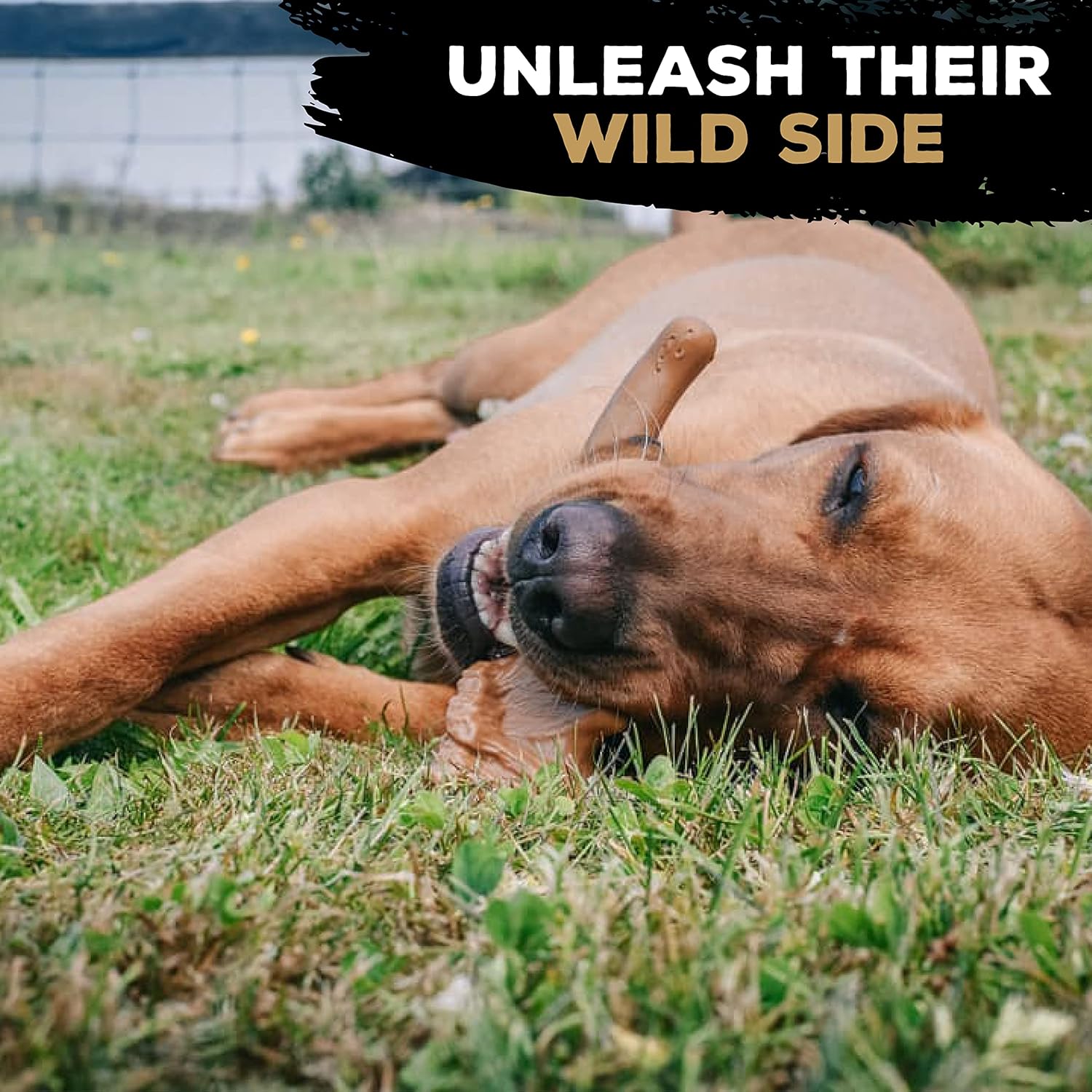 TastyBone Wild Venison Flavour Antler Bone