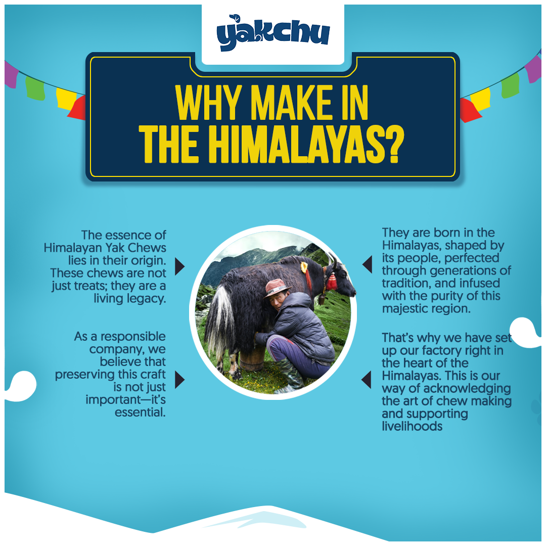 Yakchoo Himalayan Yak Cheese Dog Chews – Large 130g - 2 or 3 Pack Options