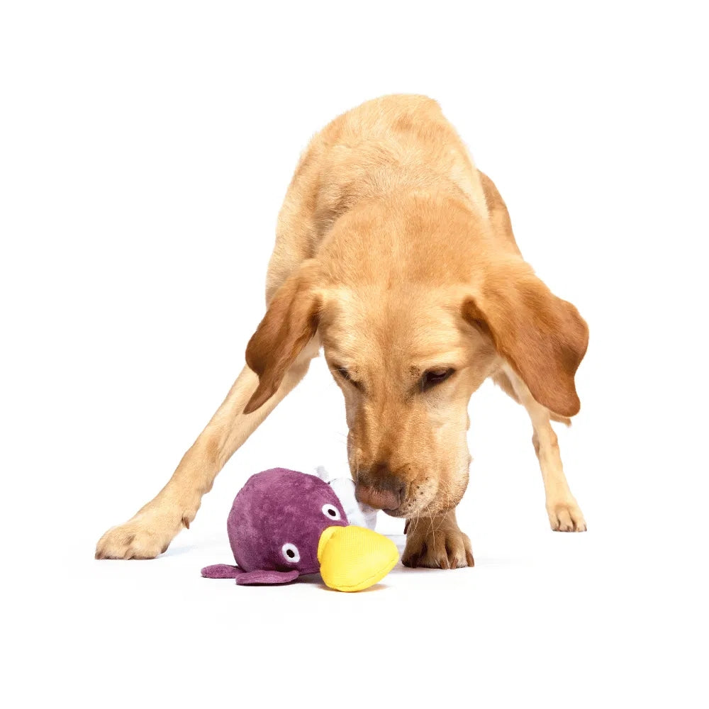 BARK Pippi Platypus Australian Outbark Dog Toy