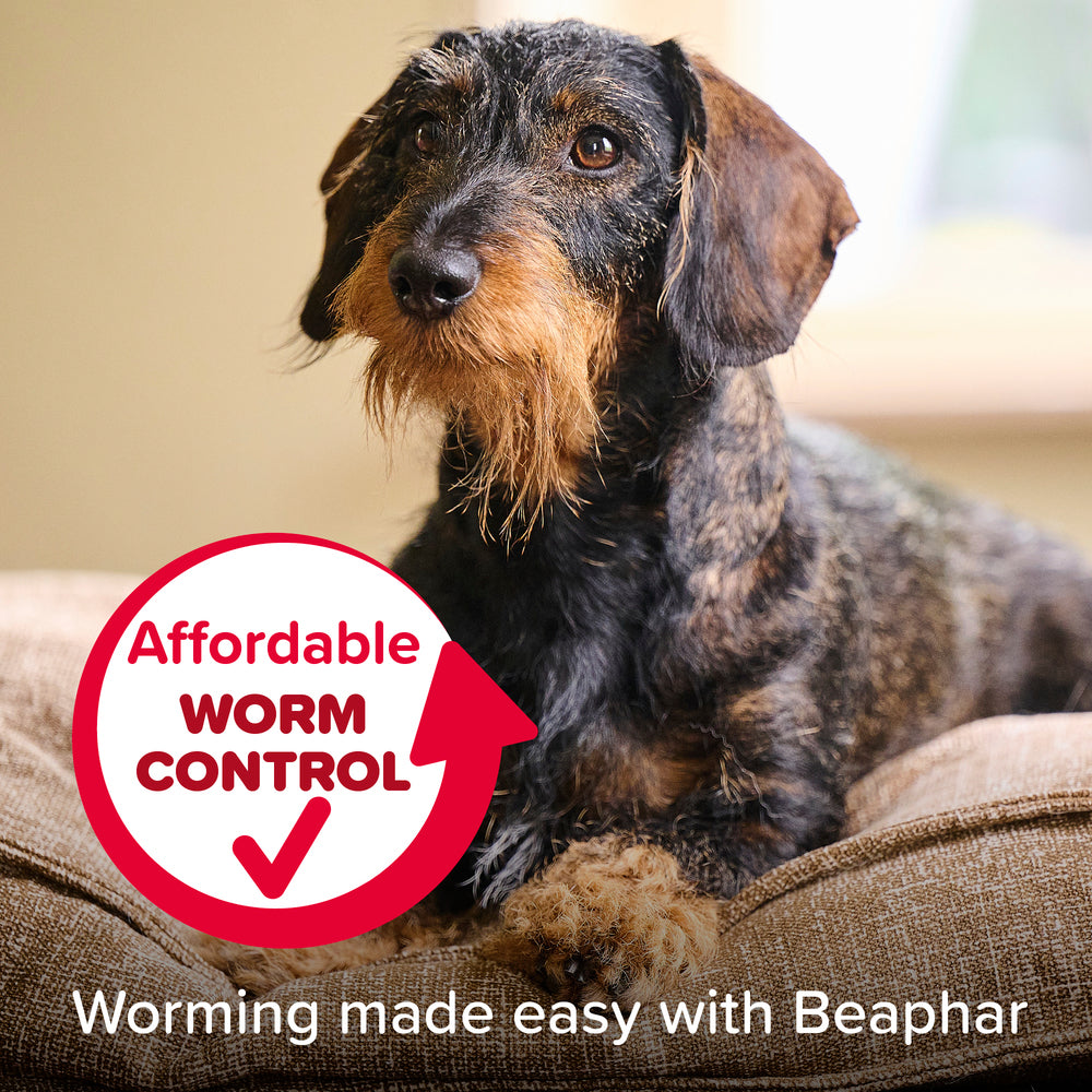 Beaphar WORMclear for Small Dogs up to 20kg Worming Tablets x 2