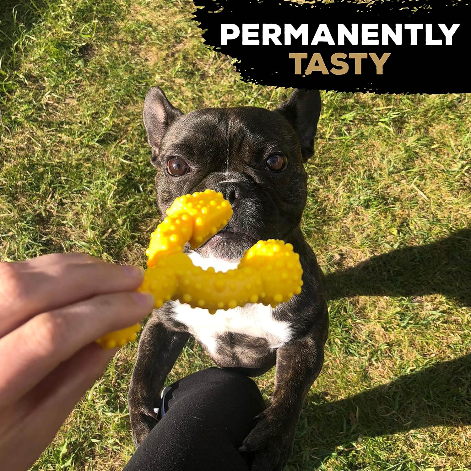 TastyBone TRIO Tough Nylon Dog Chews for Small Dogs 5 Flavours