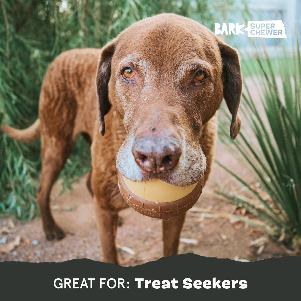 BARK Acornucopia Super Chewer Dog Toy