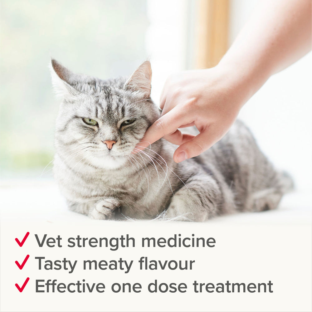 Beaphar WORMclear for Cats Worming Tablets x 2