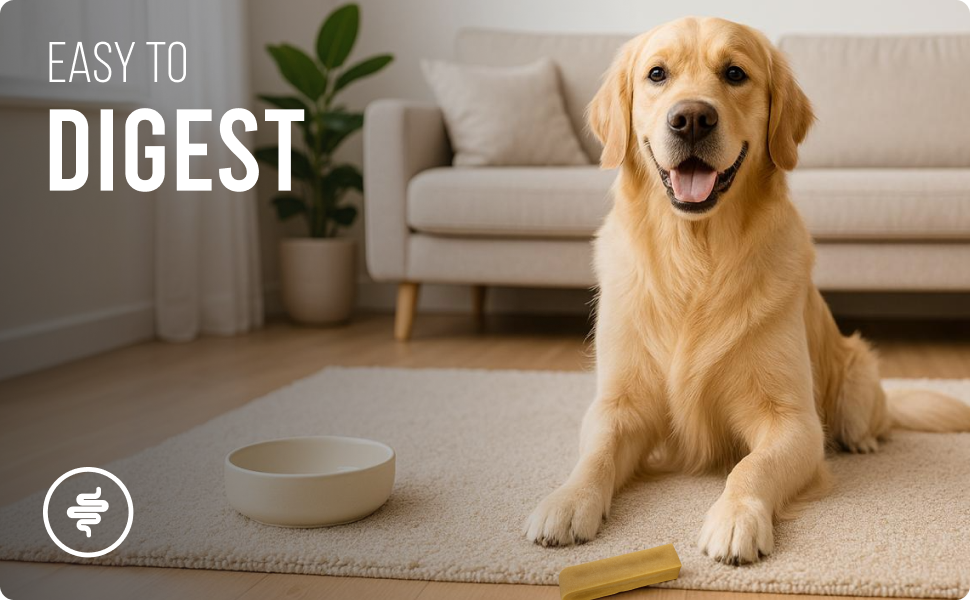 Yakchoo Himalayan Yak Cheese Dog Chews – Medium 70g - 2 or 3 Pack Options