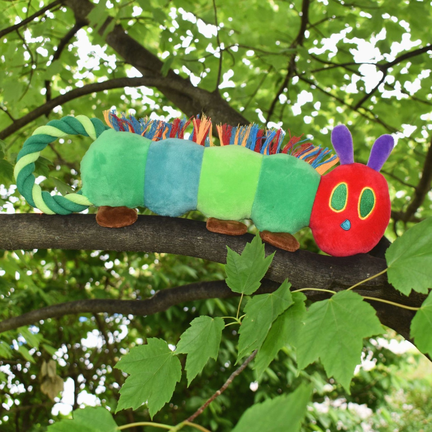 Eric Carle™ The Very Hungry Caterpillar Rope Tugs Dog Toys 3 Sizes