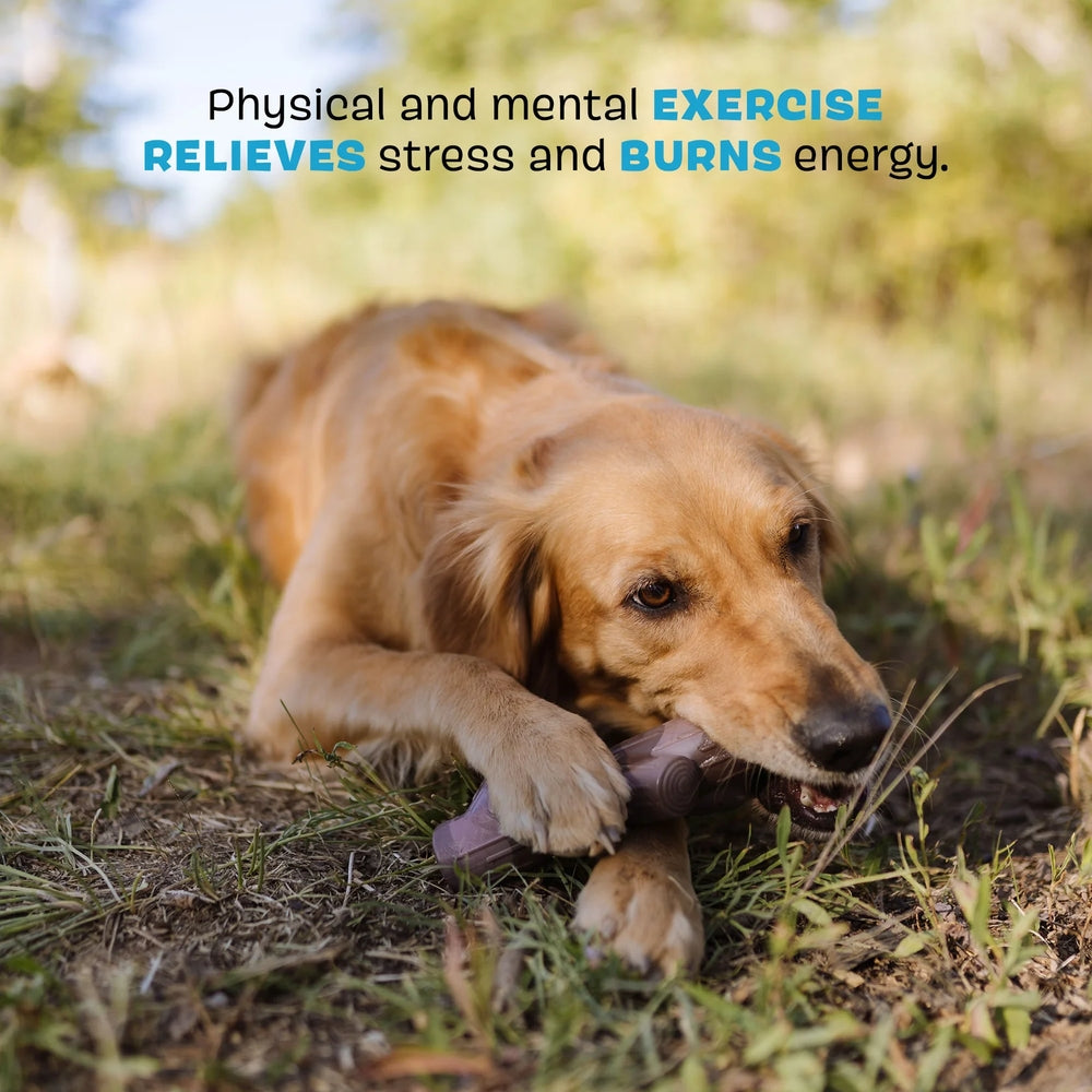 BARK Fall Fetch Stick The Grrreat Outdoors Super Chewer Dog Toy