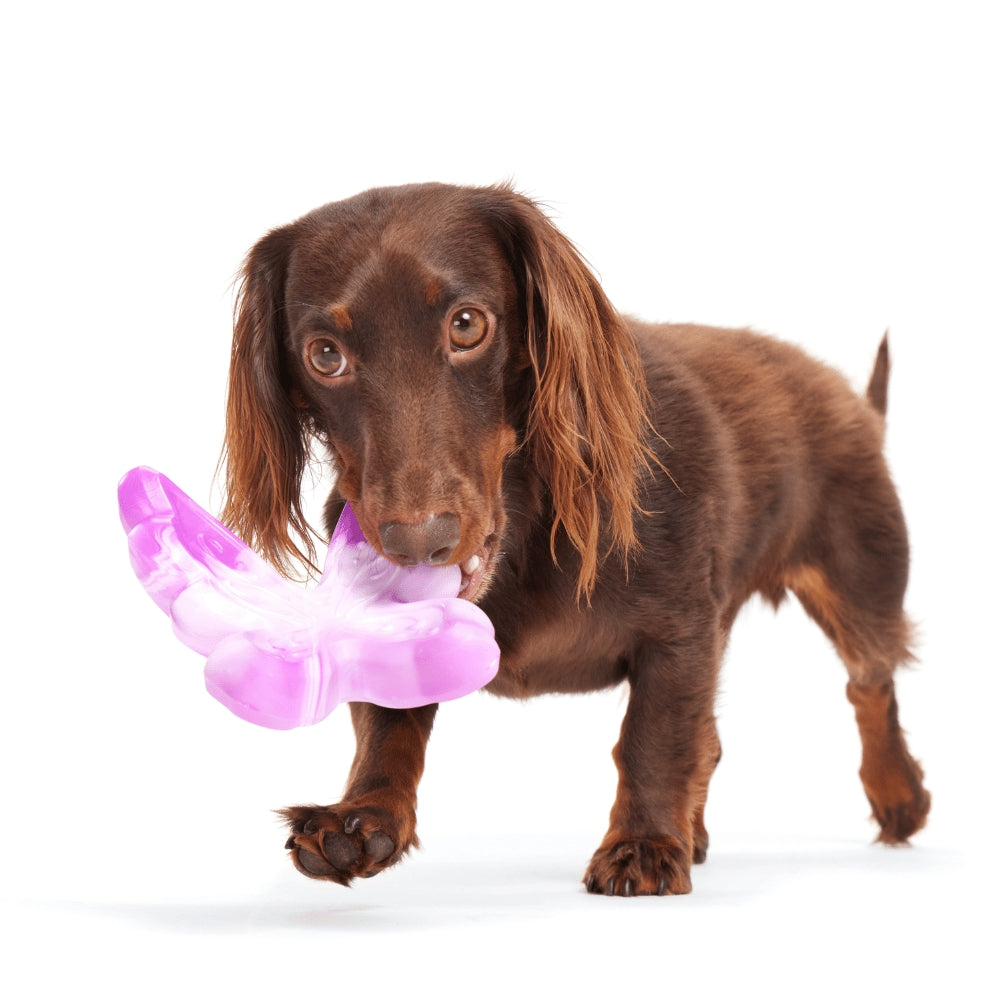 BARK Fairy Dogmother Backyard Garden Super Chewer Dog Toy