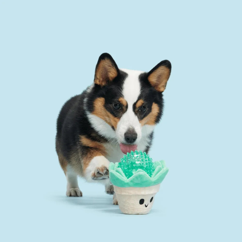 BARK Suki Succulent Backyard Garden Dog Toy