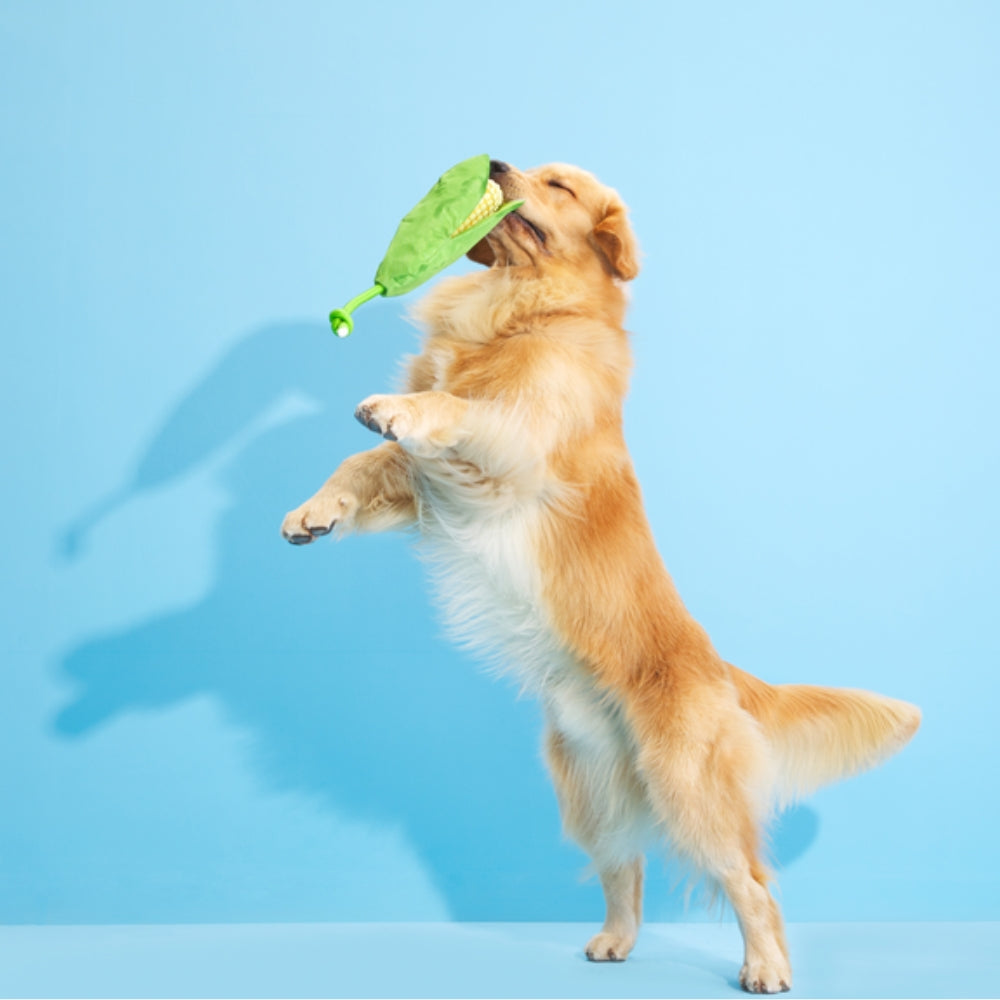 BARK Corn On The Slob Plush Rope Dog Toy