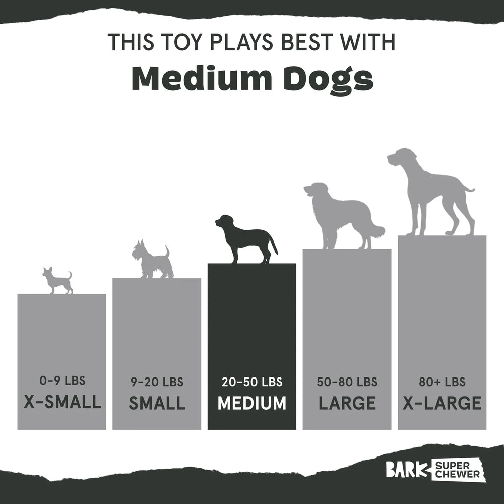 BARK Fall Fetch Stick The Grrreat Outdoors Super Chewer Dog Toy