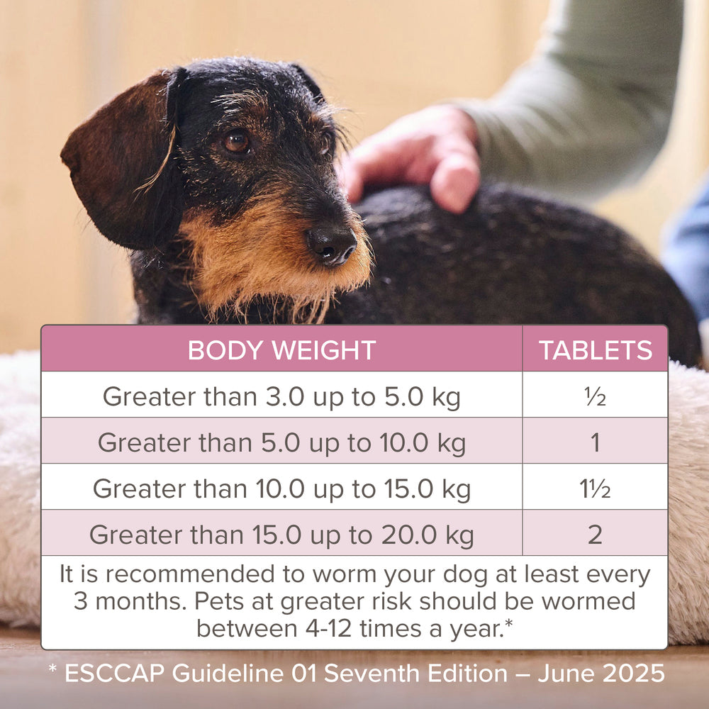 Beaphar WORMclear for Small Dogs up to 20kg Worming Tablets x 2