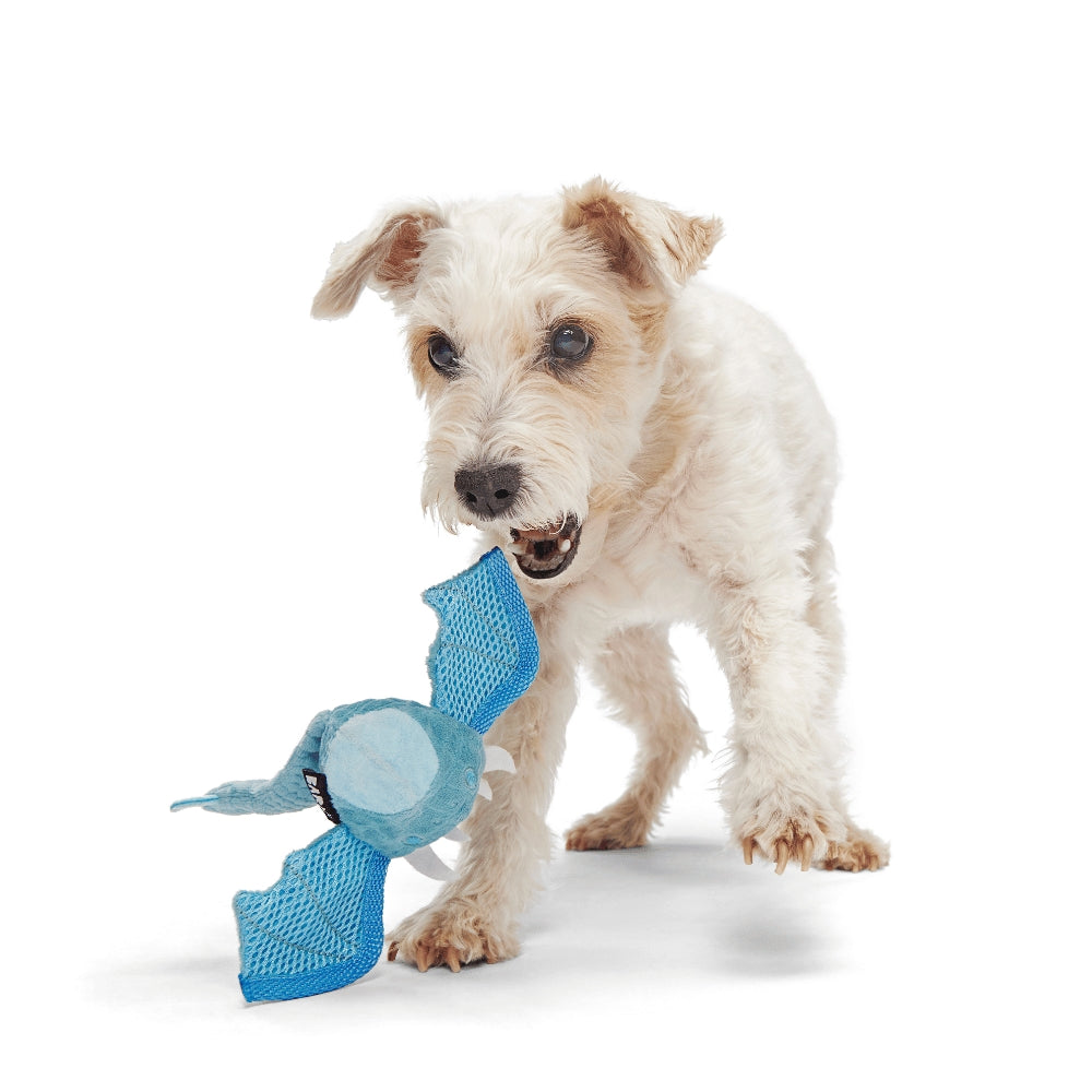 BARK Brrrtha The Dragon Super Chewer Dog Toy