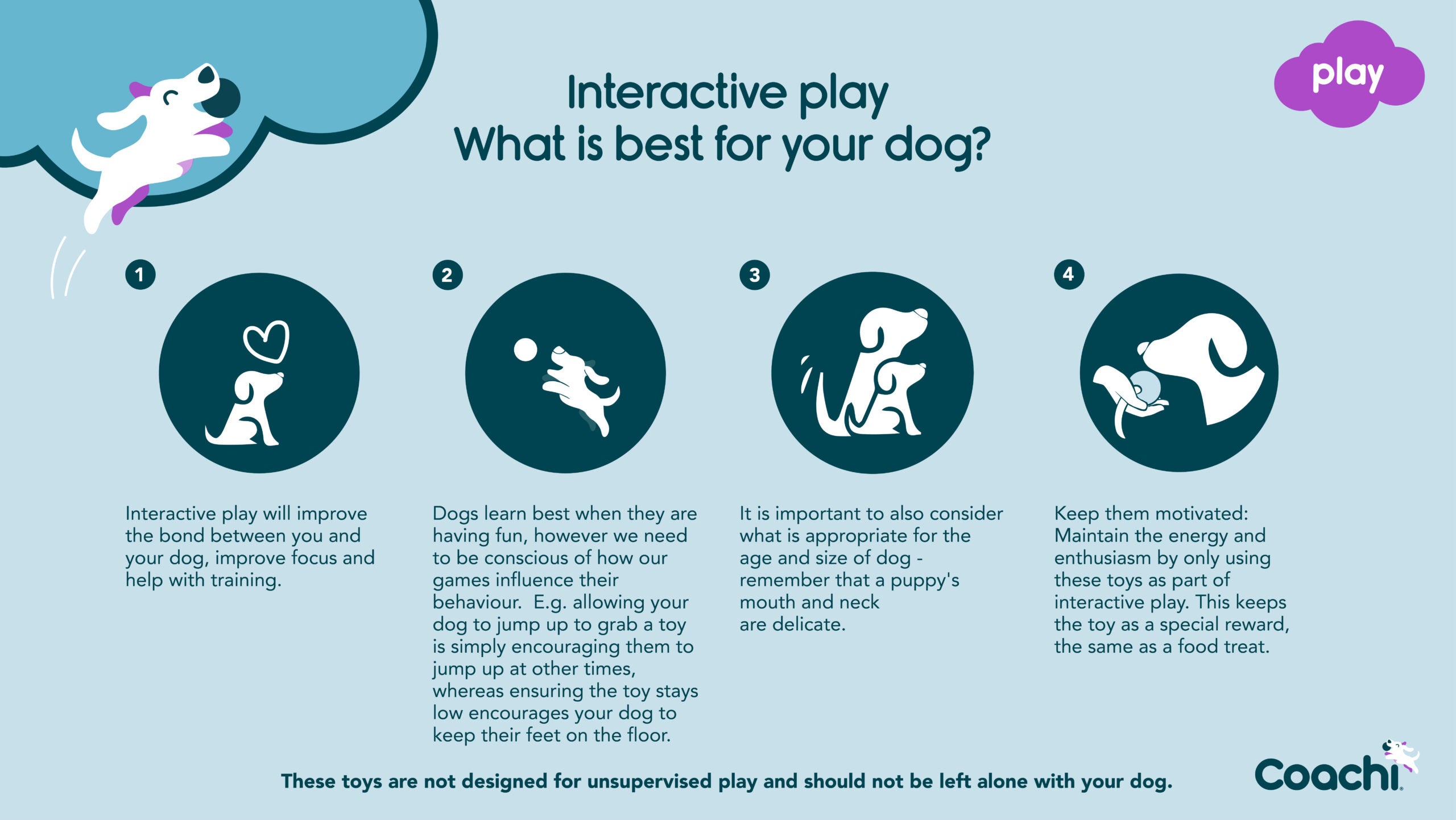 Coachi Chase & Crinkle Navy Coral & Faux Lambswool Training Toy