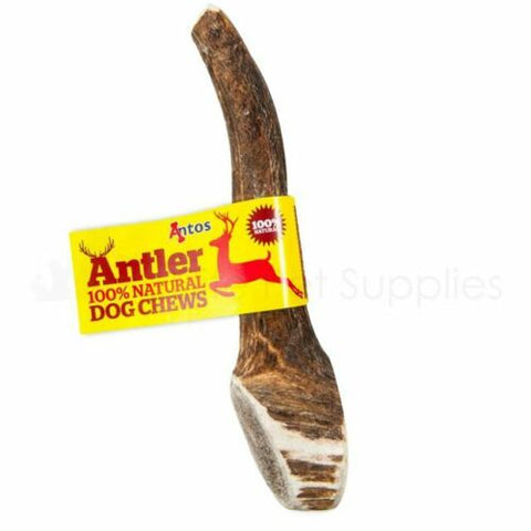 Antler Chews