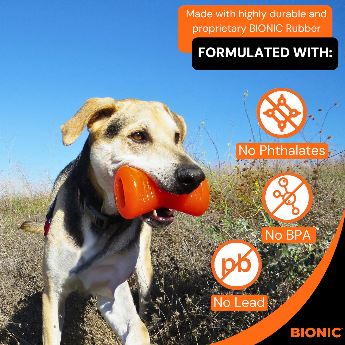 BIONIC Bone Dog Toy 3 Sizes