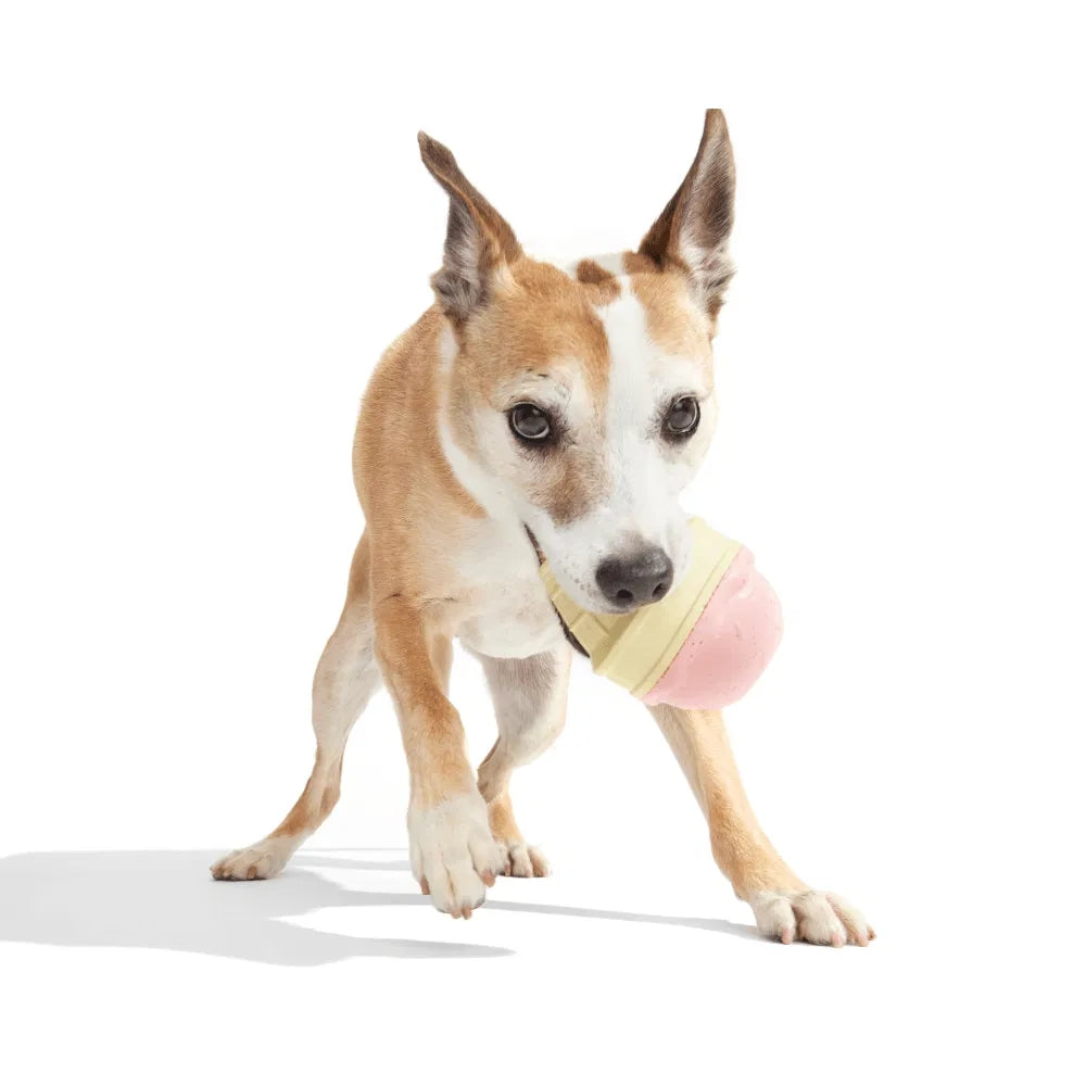 BARK I-Squeak Cone Super Chewer Dog Toy