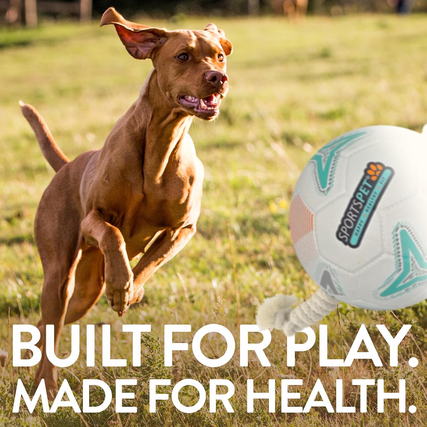 Sportspet Dog Toy TEAM Football 2 Sizes