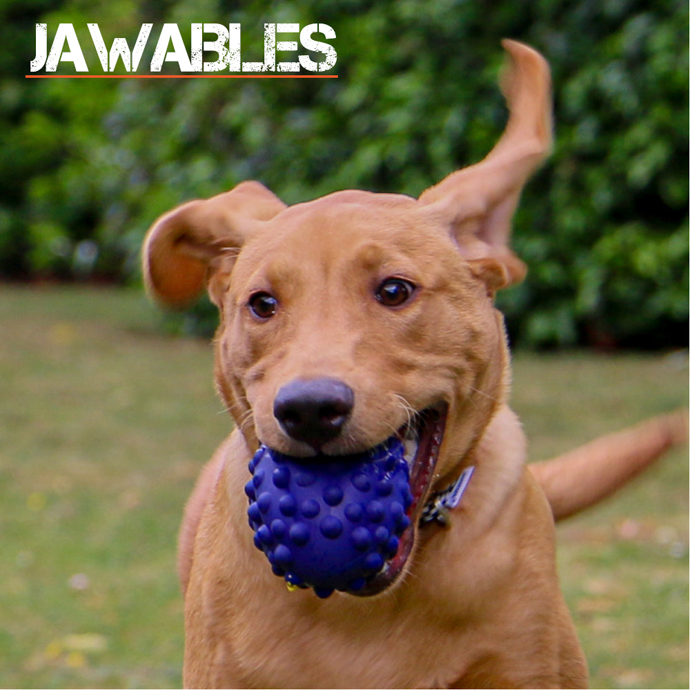 Jawables Extreme Tough Dog Toys Bubble Ball with Squeaker