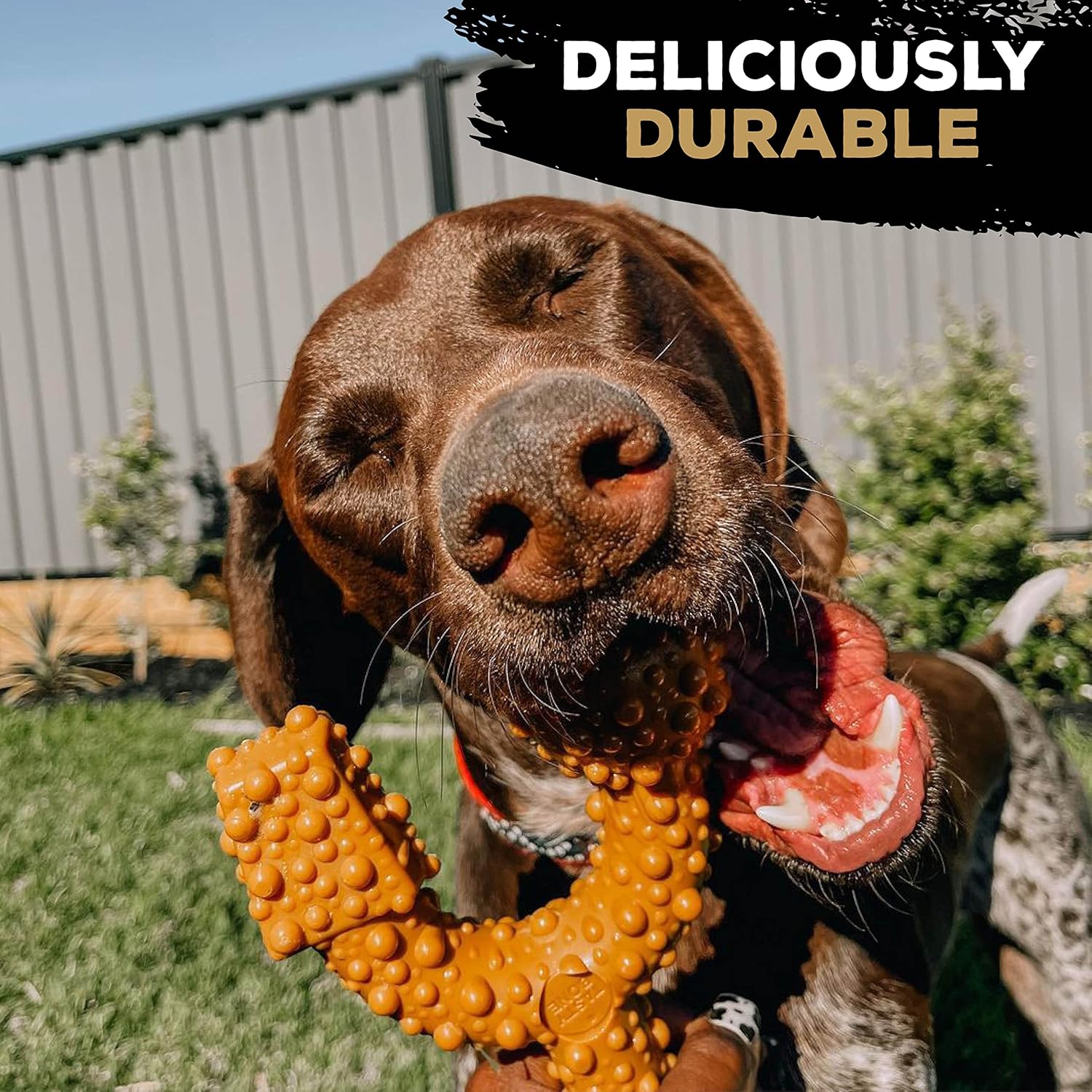 TastyBone TRIO Tough Nylon Dog Chews for Small Dogs 5 Flavours