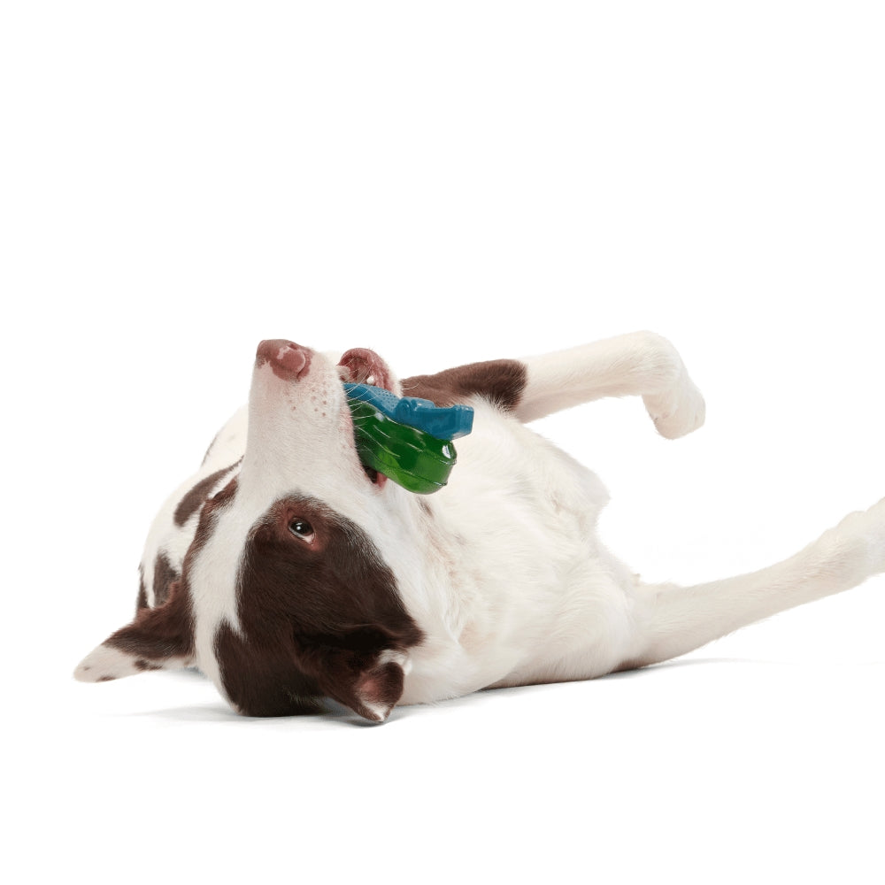 BARK Crocness Monster Super Chewer Dog Toy