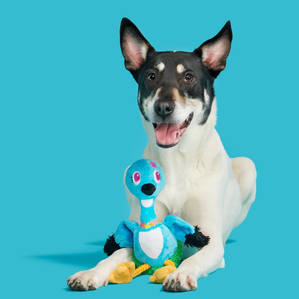 BARK Ani The Nene Goose Plush Dog Toy