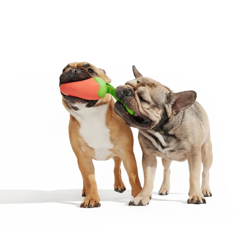 BARK Habanero Pupper Super Chewer Dog Toy