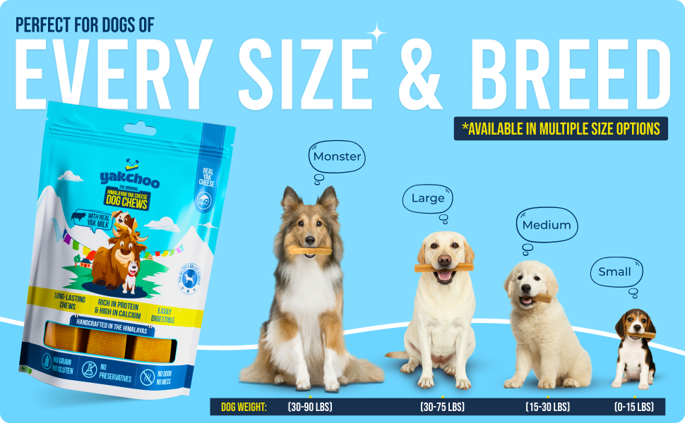 Yakchoo Himalayan Yak Cheese Dog Chews – X-Large 150g - 1 or 2 Pack Options