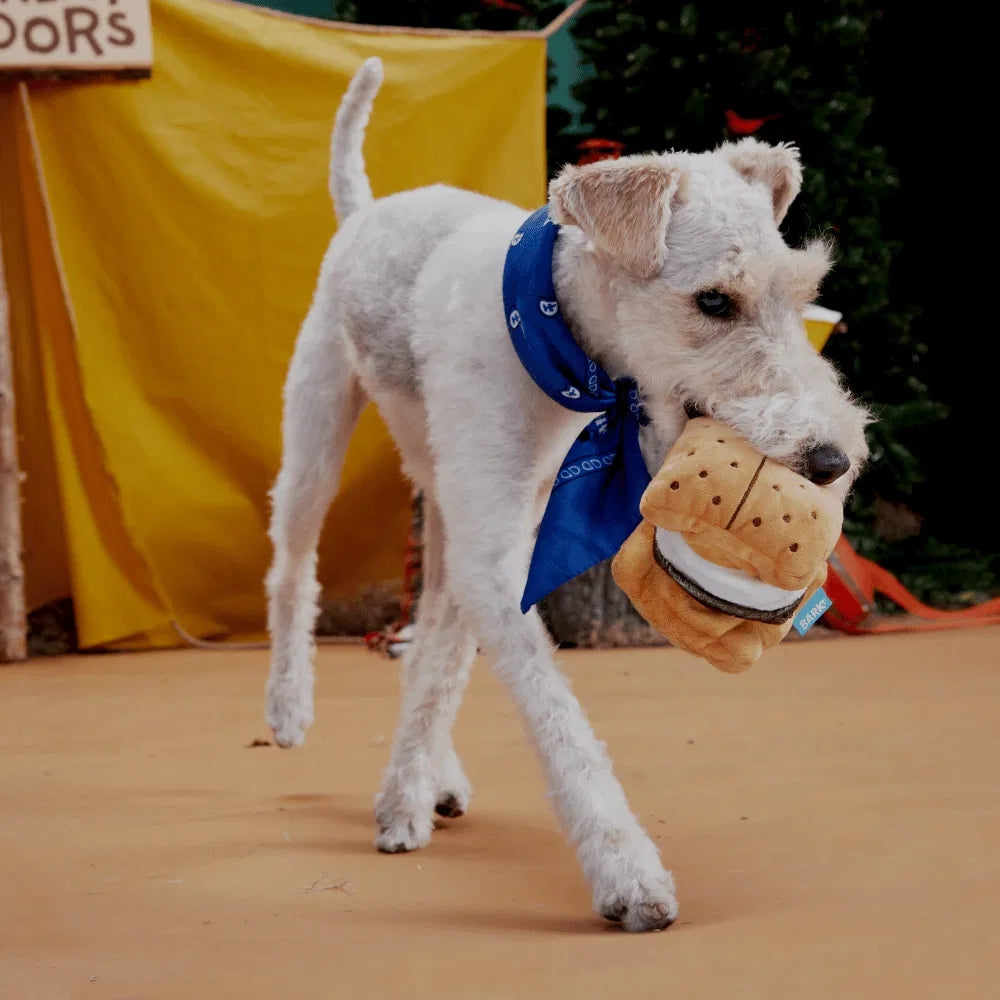BARK More S'Mores Grrreat Outdoors Dog Toy