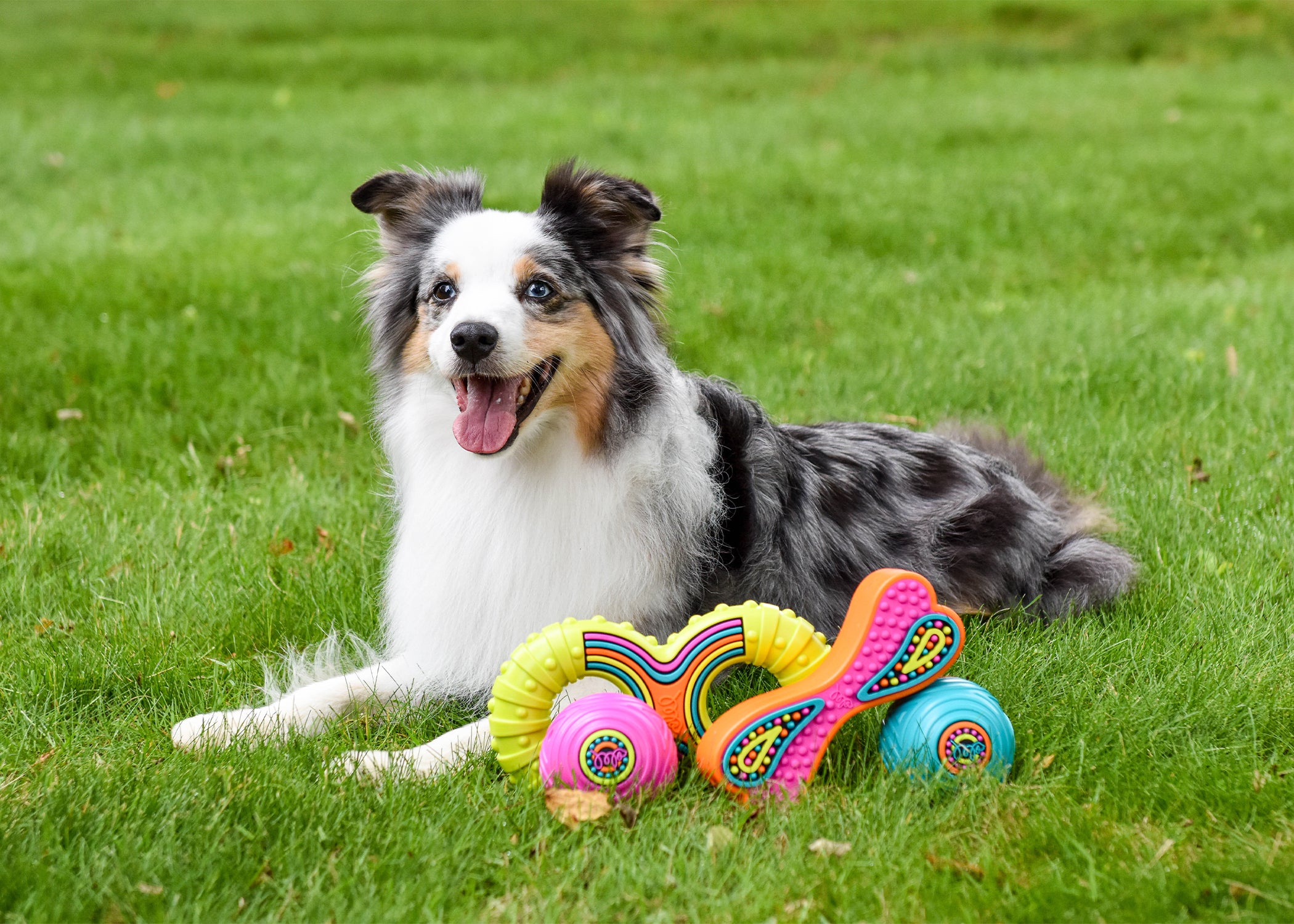 Happy Pet Groovers TPR Rubber Figure of 8 Dog Toy