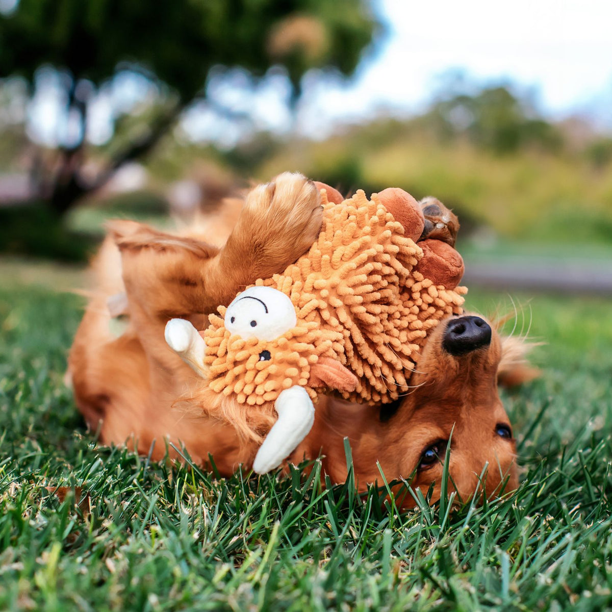 Multipet Floppy Highland Cow Plush Dog Toy