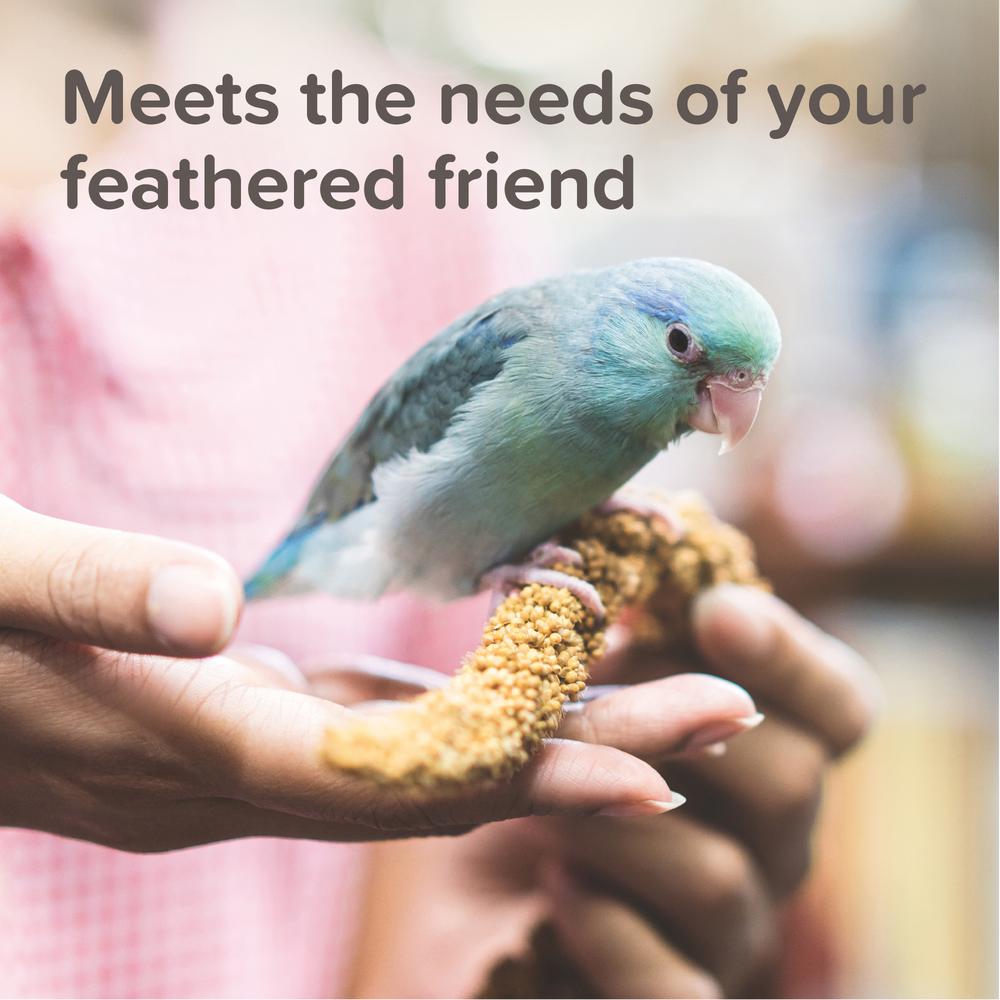 Beaphar XtraVital Large Parakeet Complete Bird Food 2 Sizes