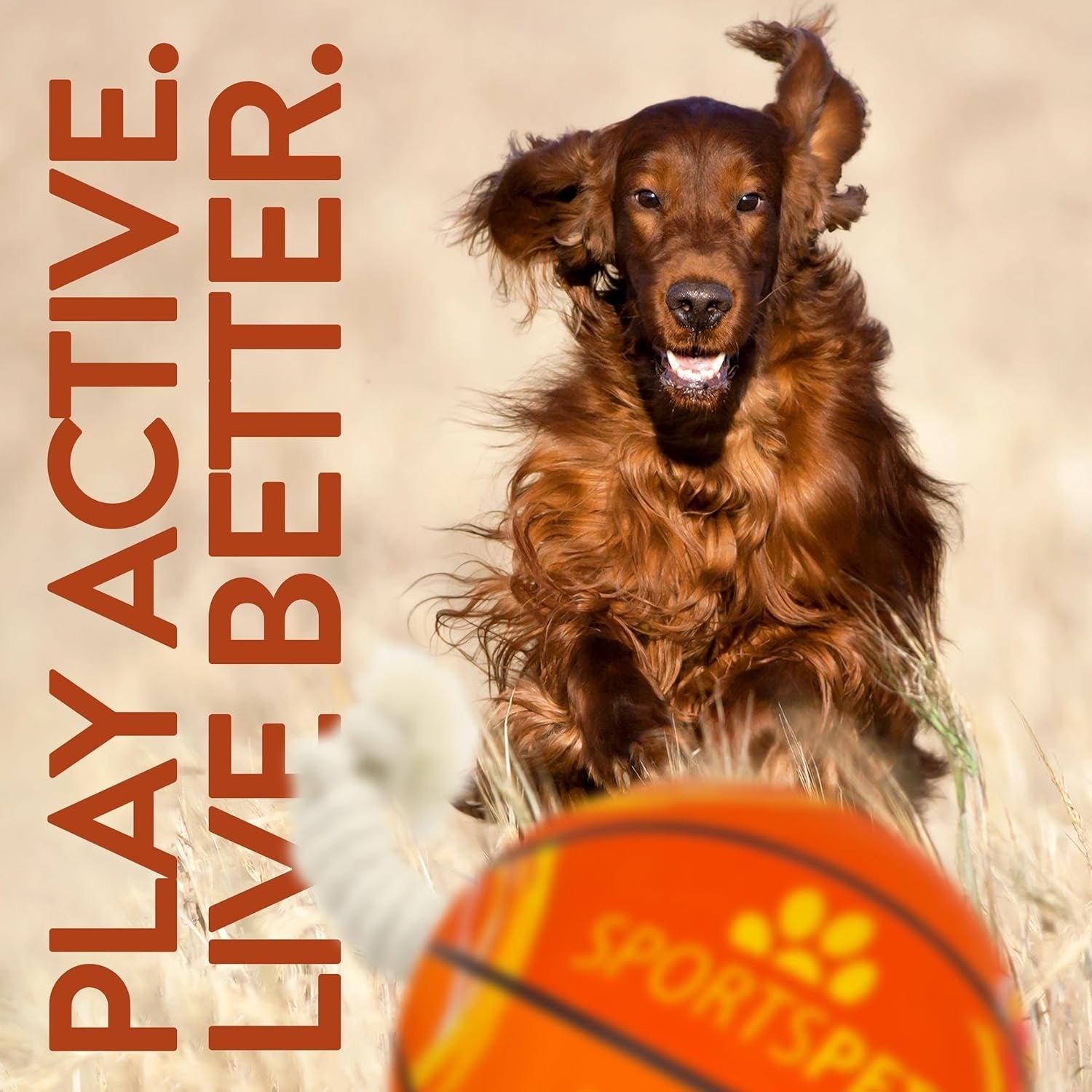 Sportspet Dog Toy TEAM Basketball Size 3 (large)