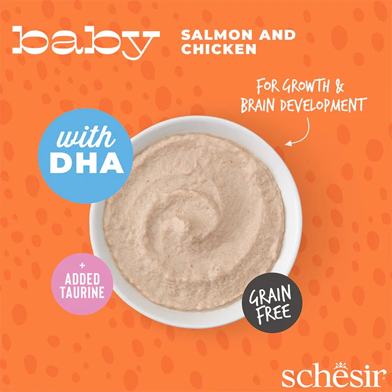 Schesir Kitten Baby Mousse Chicken with Salmon 12 x 70g