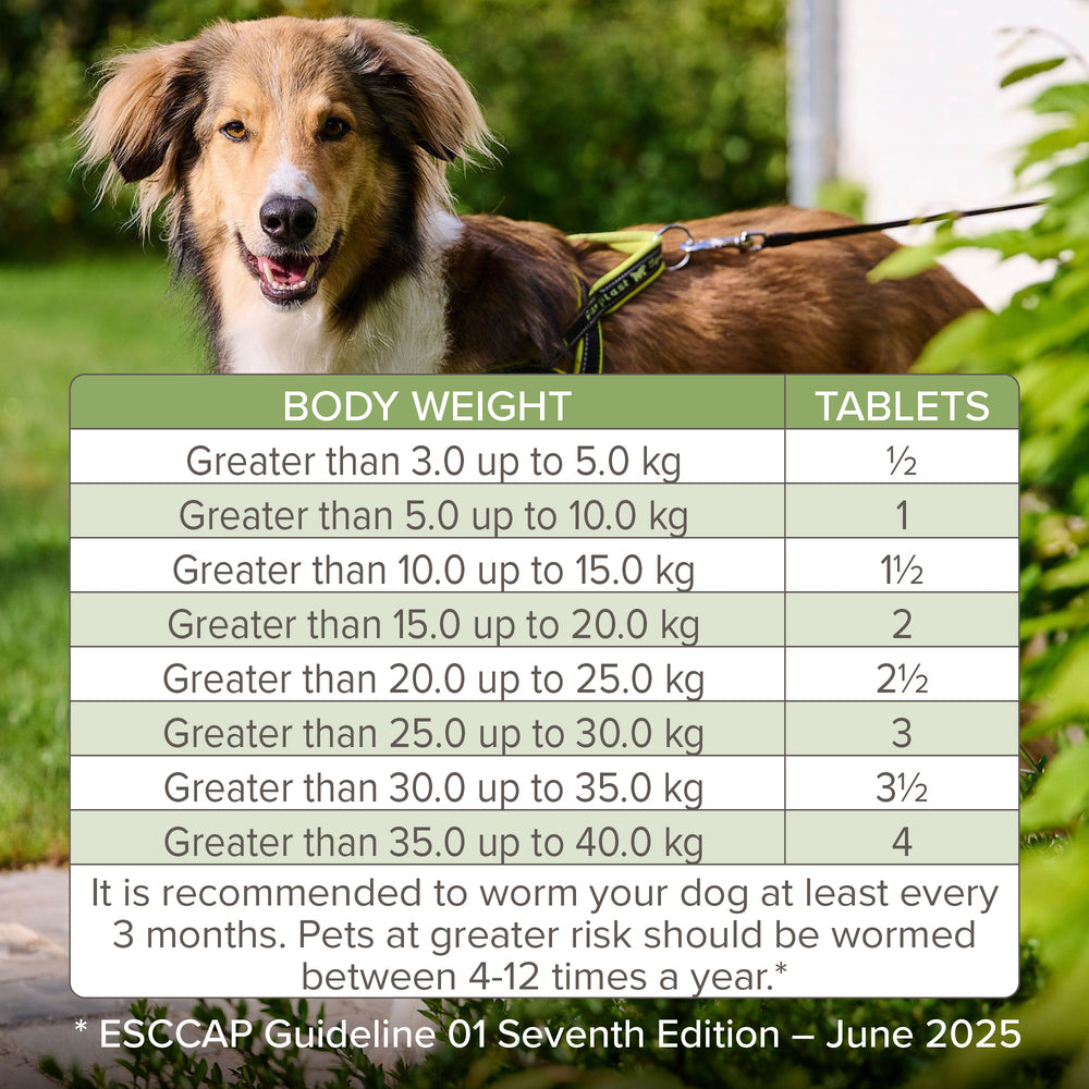 Beaphar WORMclear for Large Dogs up to 40kg Worming Tablets x 4