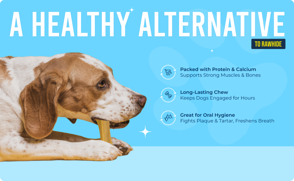 Yakchoo Himalayan Yak Cheese Dog Chews – Medium 70g - 2 or 3 Pack Options