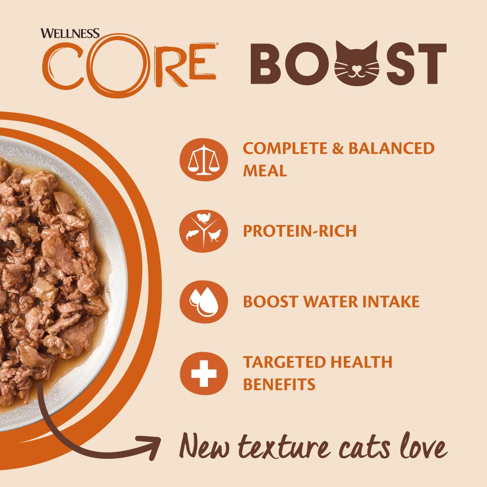 Wellness CORE Cat Boost Immunity Chicken with Turkey 14 x 85g