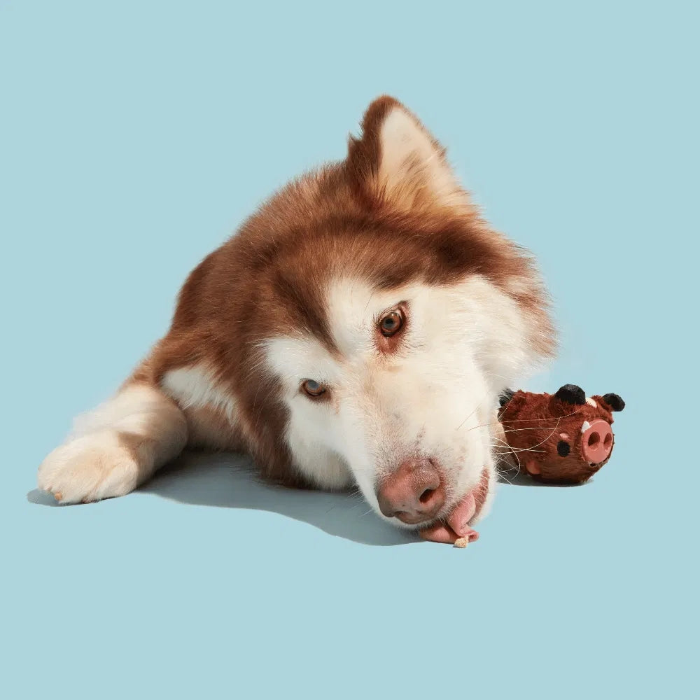 BARK Wild Boris Super Chewer Dog Toy