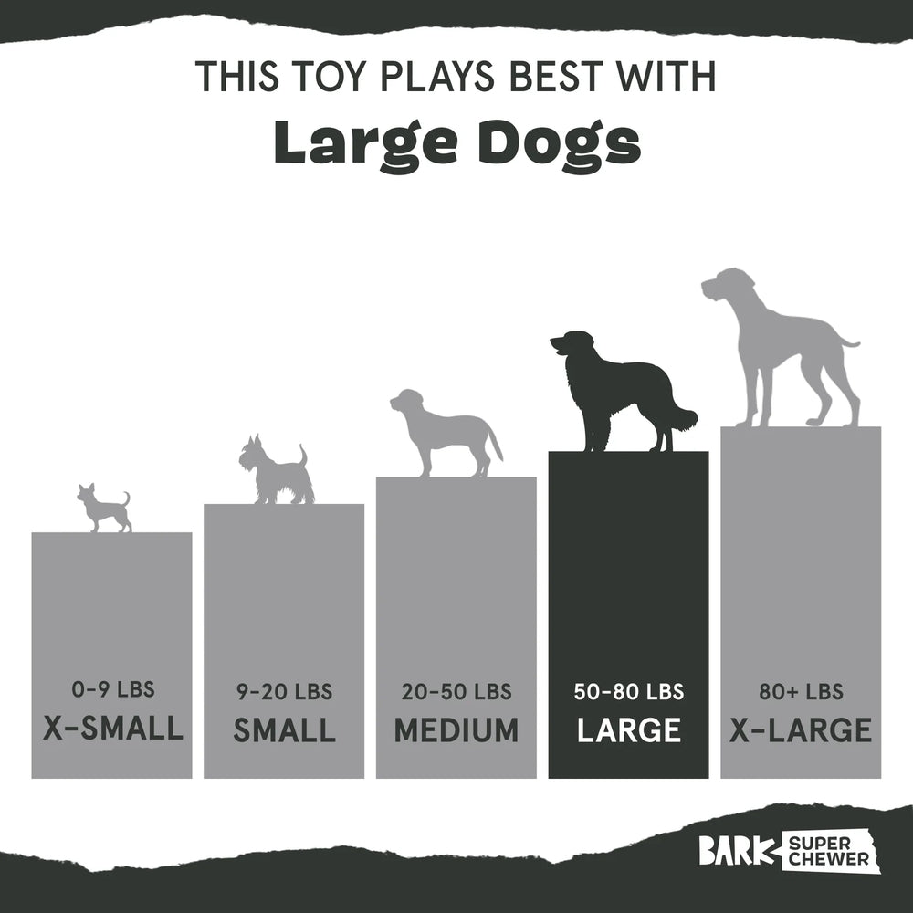 BARK Aurora Beast Super Chewer Dog Toy