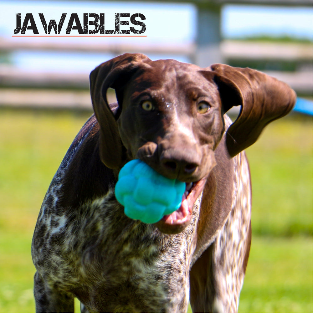 Jawables Extreme Tough Dog Toys Knot Ball