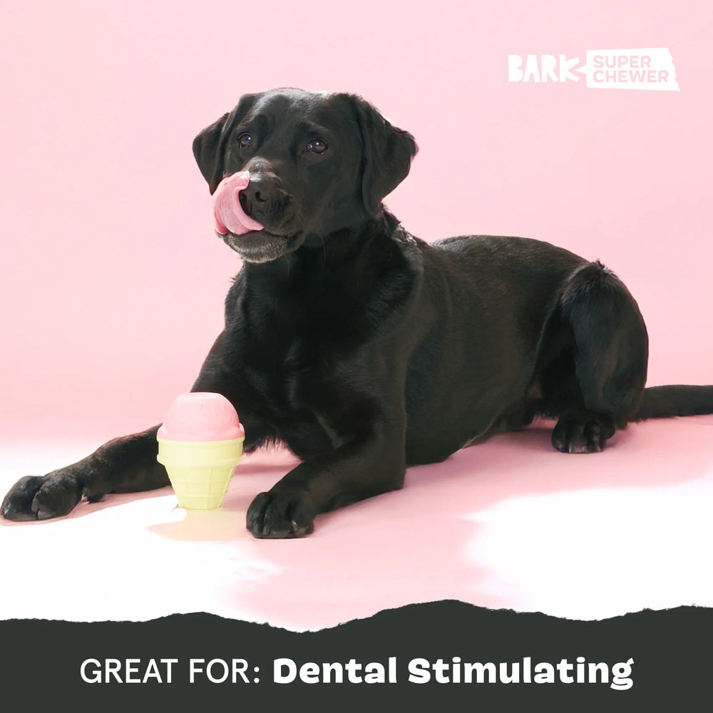 BARK I-Squeak Cone Super Chewer Dog Toy