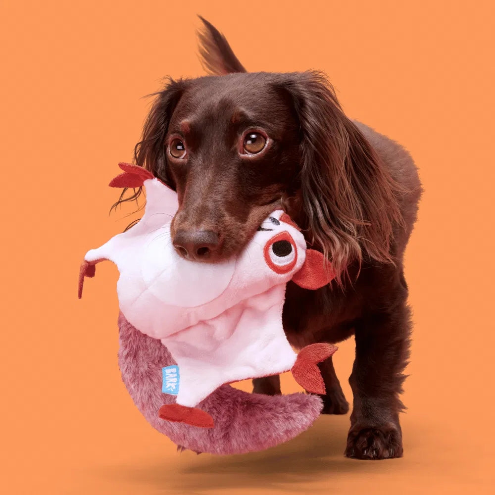 BARK Sydney Sugar Glider Australian Outbark Dog Toy