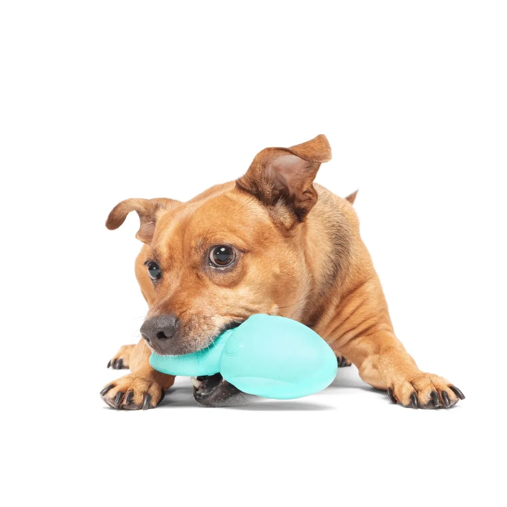 BARK Whiz Squid Super Chewer Dog Toy