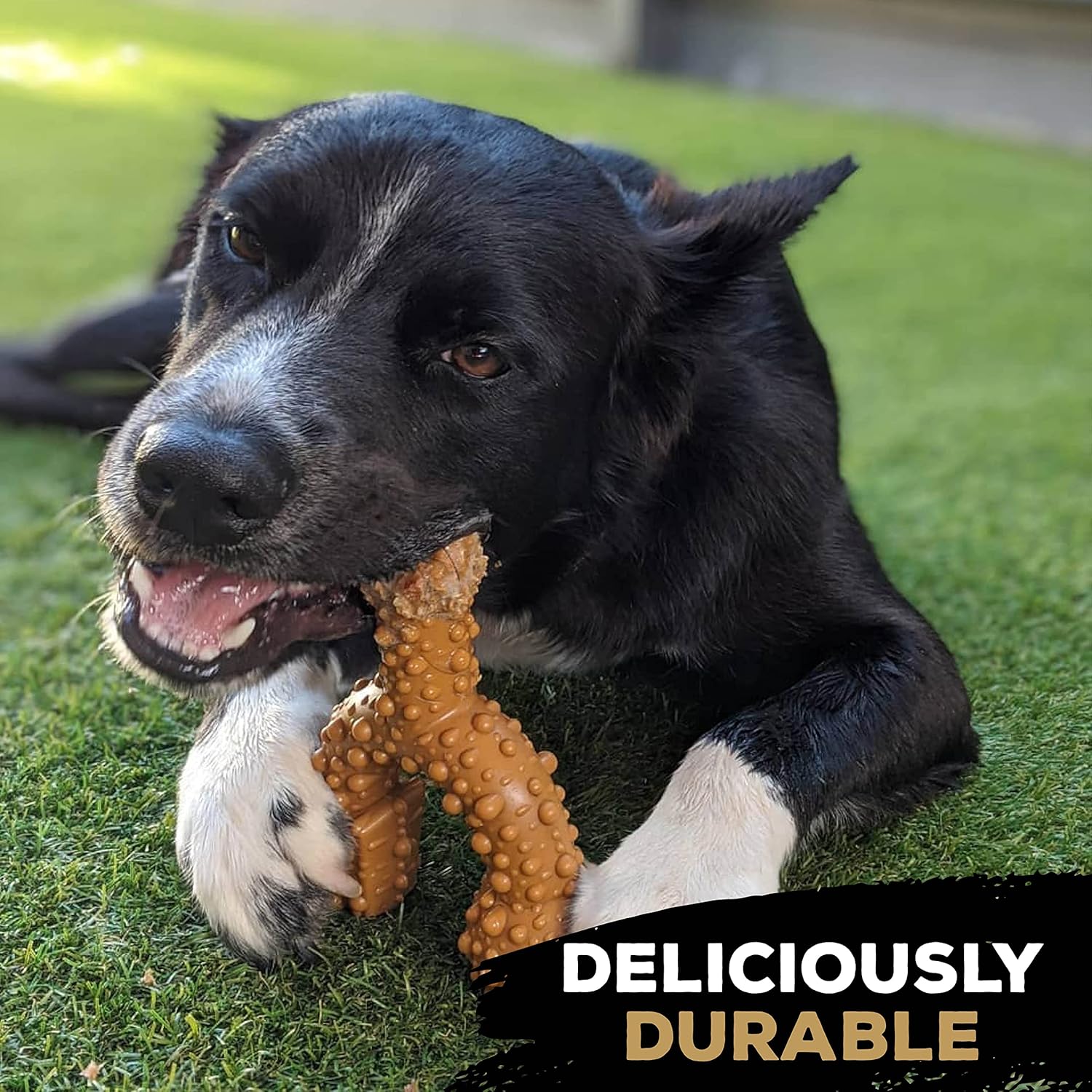 TastyBone TRIO Tough Nylon Dog Chews for Large Dogs 5 Flavours