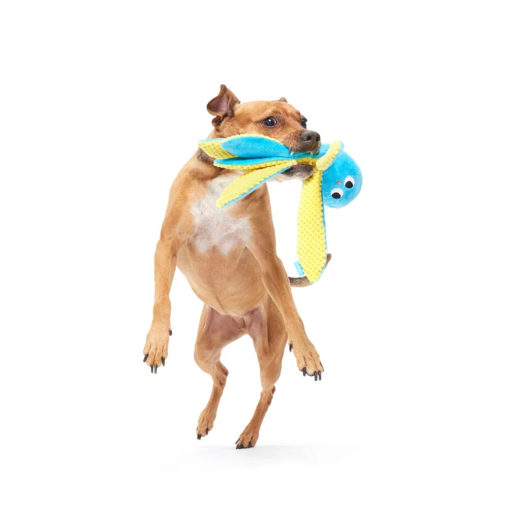 BARK Odd Otto Plush Dog Toy