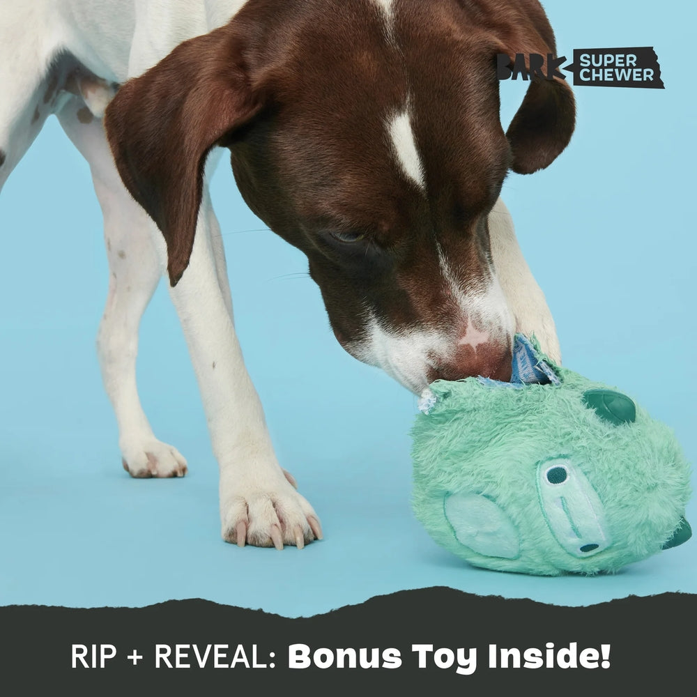 BARK Aurora Beast Super Chewer Dog Toy