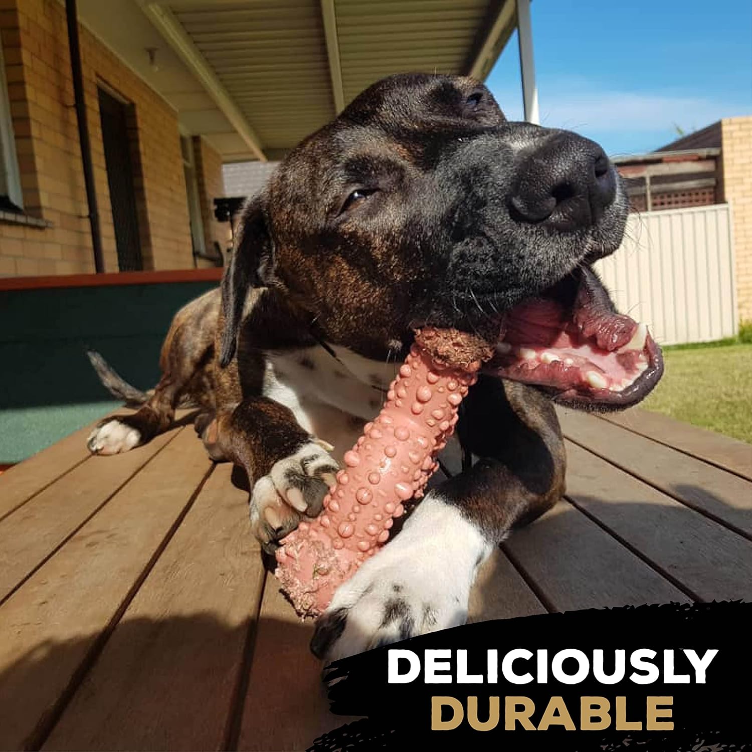 TastyBone TRIO Tough Nylon Dog Chews for Small Dogs 5 Flavours