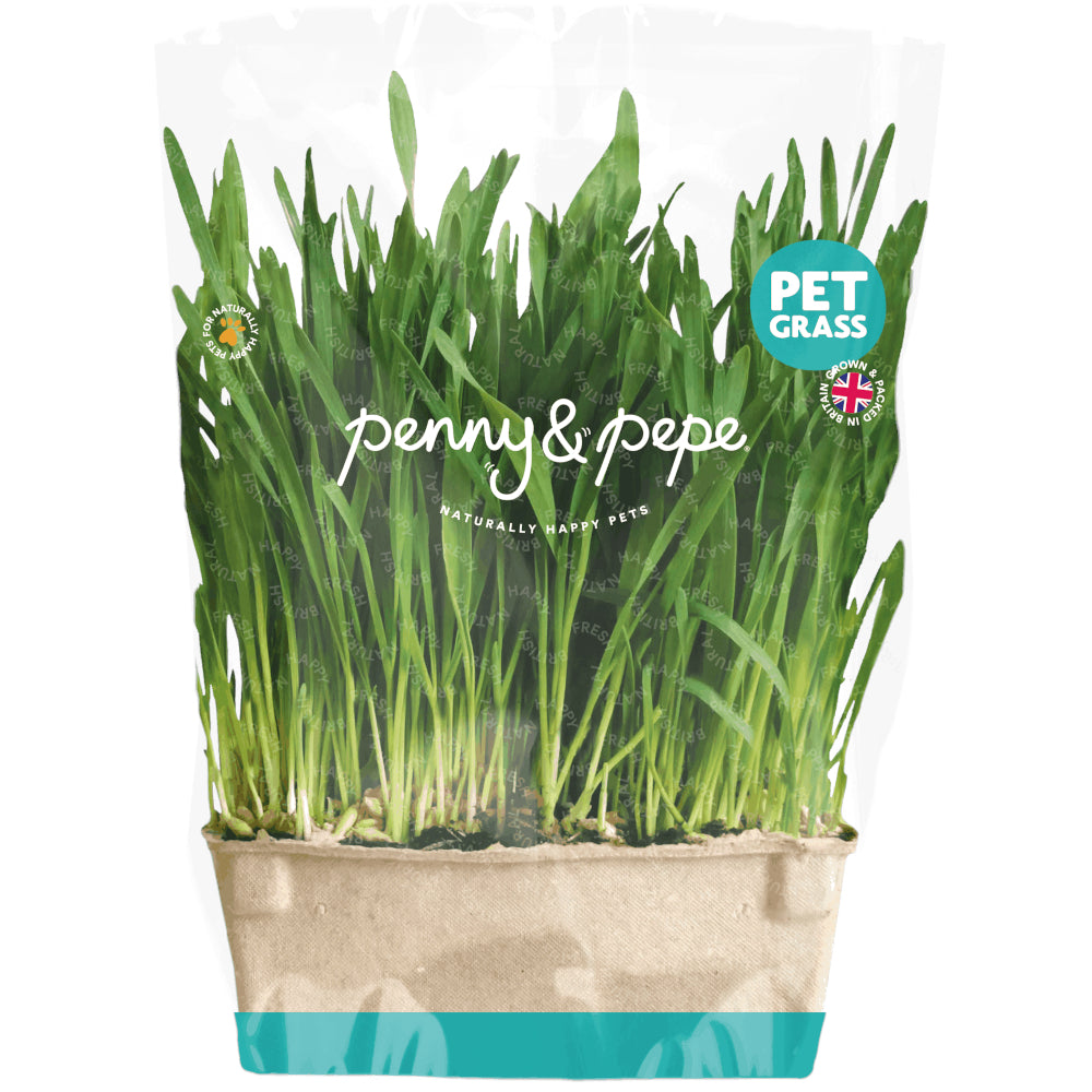 Penny & Pepe Ready-Grown Pet Grass Tray